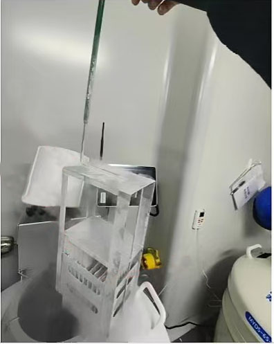 凍存架